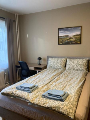 Super Stay Apartment in Oslo City Center